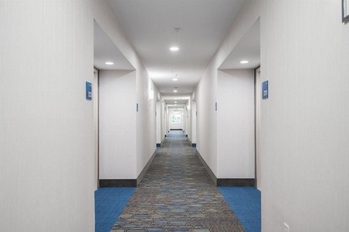 Holiday Inn Express Grover Beach-Pismo Beach Area an IHG Hotel - image 17