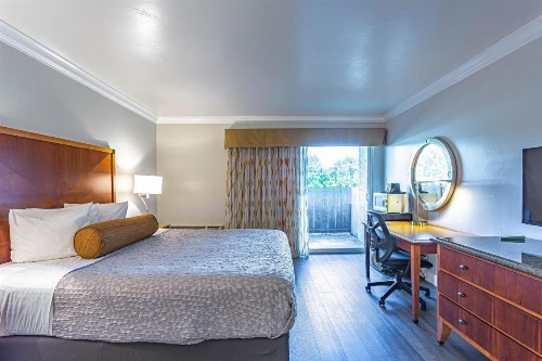 Aloha Inn - image 27