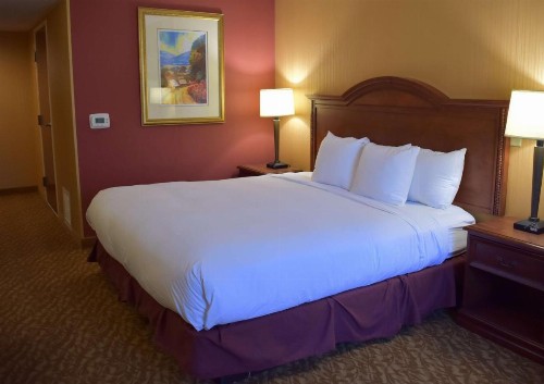 DoubleTree by Hilton Biltmore/Asheville - image 19
