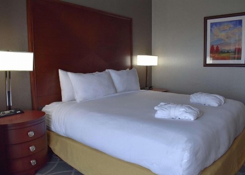 DoubleTree by Hilton Biltmore/Asheville - image 29