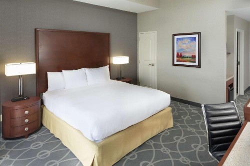 DoubleTree by Hilton Biltmore/Asheville - image 43