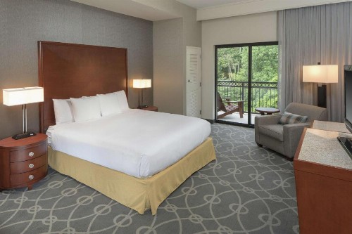 DoubleTree by Hilton Biltmore/Asheville - image 49
