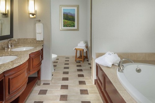 DoubleTree by Hilton Biltmore/Asheville - image 50