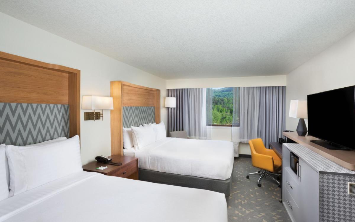 Holiday Inn Asheville East an IHG Hotel - image 2