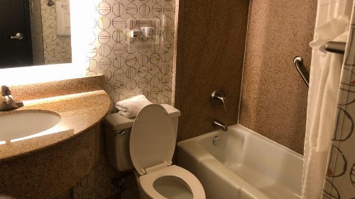 Holiday Inn Asheville East an IHG Hotel - image 22