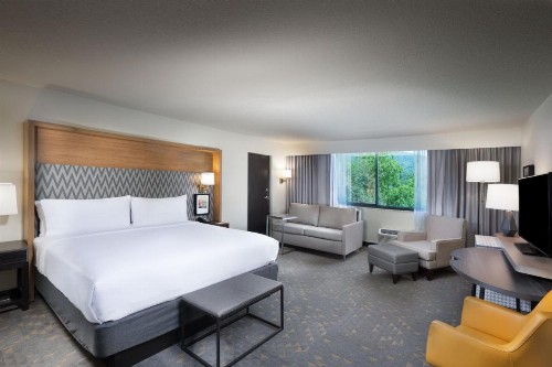 Holiday Inn Asheville East an IHG Hotel - image 23