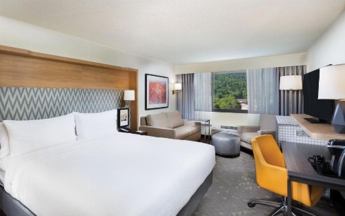Holiday Inn Asheville East an IHG Hotel - image 3