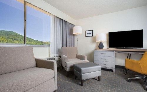 Holiday Inn Asheville East an IHG Hotel - image 36