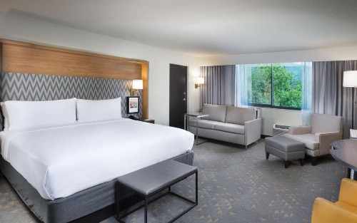 Holiday Inn Asheville East an IHG Hotel - image 5