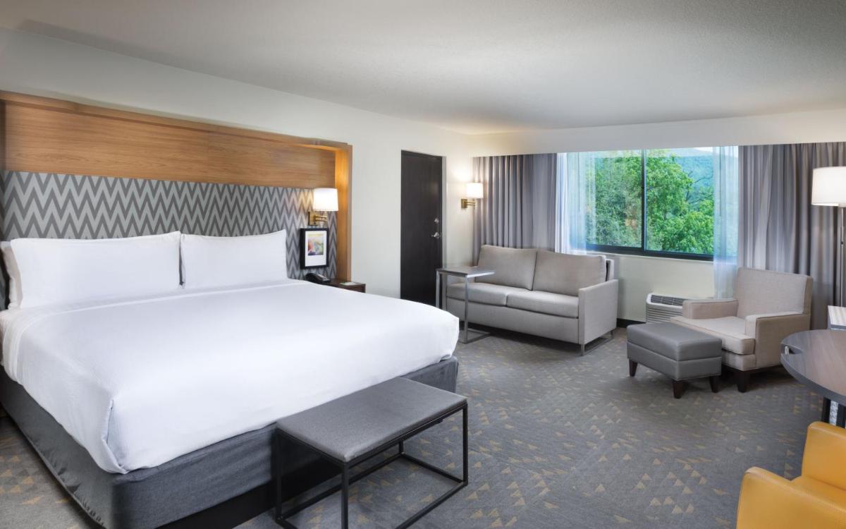 Holiday Inn Asheville East an IHG Hotel - image 5