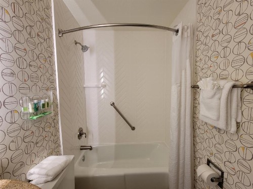 Holiday Inn Asheville East an IHG Hotel - image 7