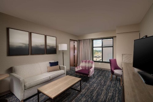 Hilton Asheville Biltmore Park - image 15