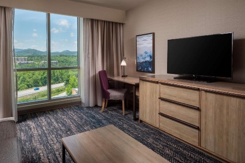 Hilton Asheville Biltmore Park - image 3