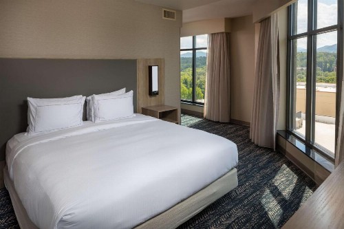 Hilton Asheville Biltmore Park - image 32
