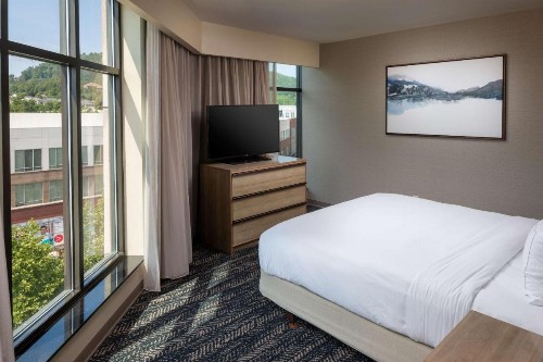 Hilton Asheville Biltmore Park - image 43