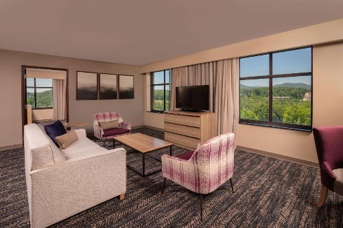 Hilton Asheville Biltmore Park - image 5