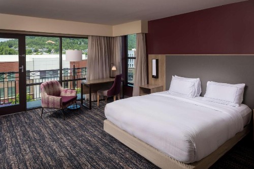 Hilton Asheville Biltmore Park - image 50