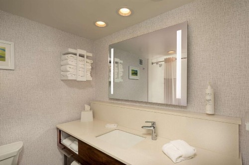 Hampton Inn Asheville-Tunnel Road - image 23
