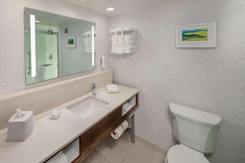 Hampton Inn Asheville-Tunnel Road - image 26
