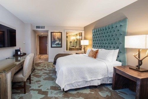 Grand Bohemian Hotel Asheville Autograph Collection - image 7