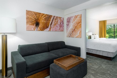 SpringHill Suites Asheville - image 24