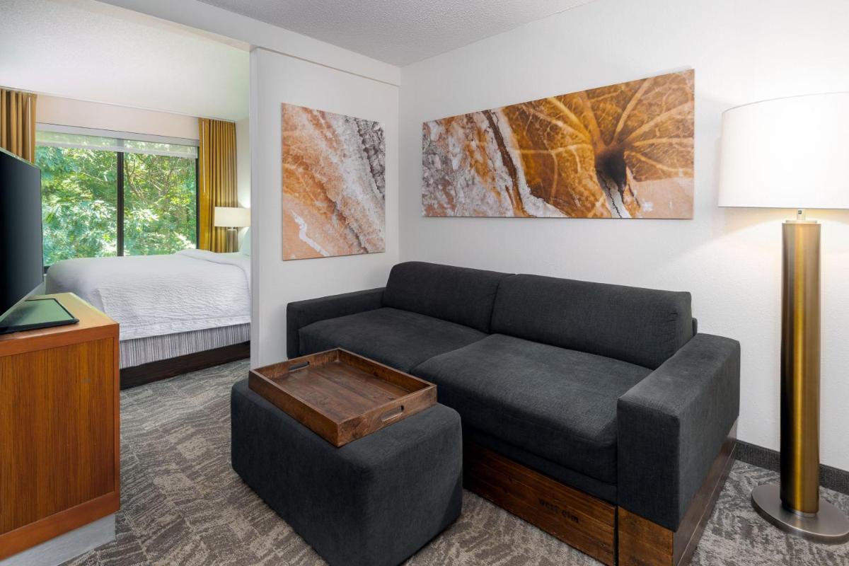 SpringHill Suites Asheville - image 4