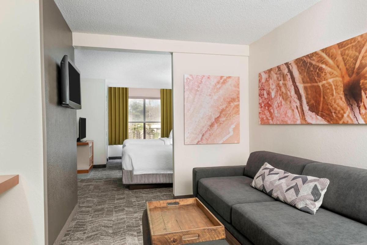 SpringHill Suites Asheville - image 6