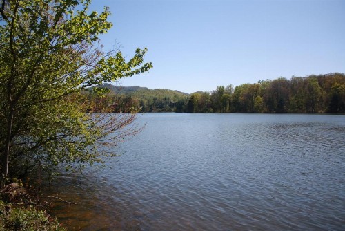 Country Inn & Suites by Radisson Asheville at Asheville Outlet Mall NC - image 4