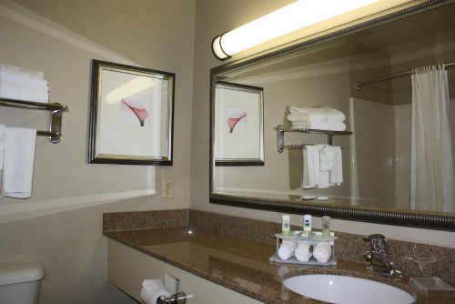 Country Inn & Suites by Radisson Asheville at Asheville Outlet Mall NC - image 8