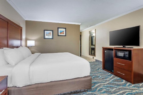 Comfort Inn Asheville-Tunnel Road East - image 20