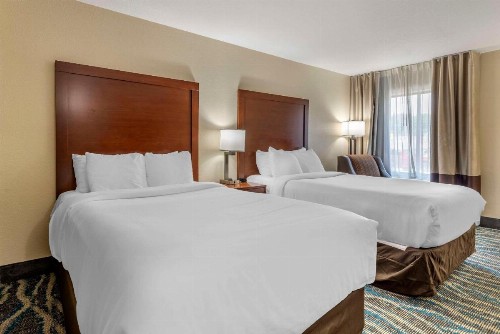 Comfort Inn Asheville-Tunnel Road East - image 31