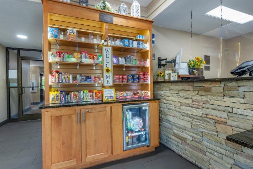 Comfort Inn Asheville-Tunnel Road East - image 39