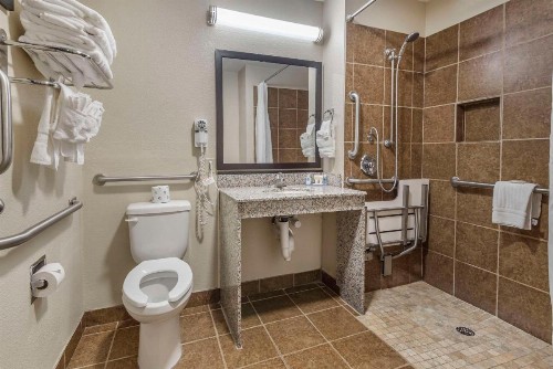 Comfort Inn Asheville-Tunnel Road East - image 45