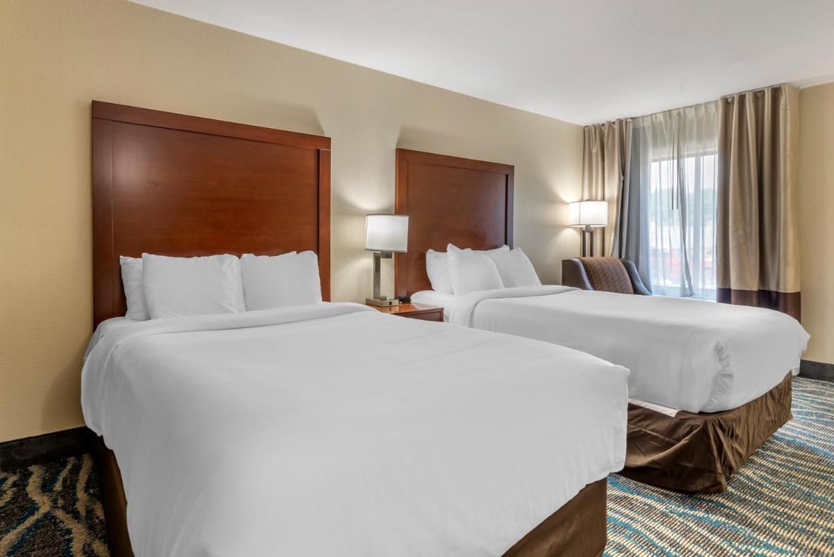 Comfort Inn Asheville-Tunnel Road East - image 5