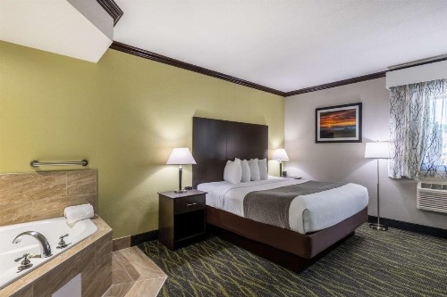 Best Western Asheville Tunnel Road - image 11