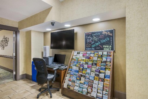 Best Western Asheville Tunnel Road - image 12