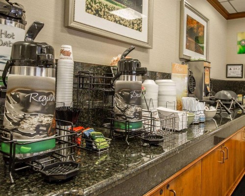 Quality Inn & Suites Biltmore East - image 11