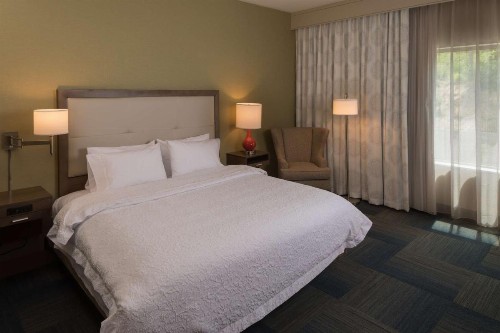 Hampton Inn & Suites-Asheville Biltmore Village NC - image 25
