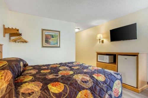 Rodeway Inn - image 5