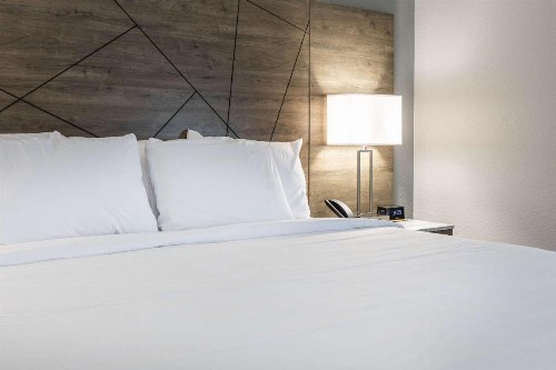 Rodeway Inn & Suites near Outlet Mall - Asheville - image 2