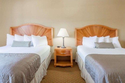 Baymont by Wyndham Asheville/Biltmore - image 26