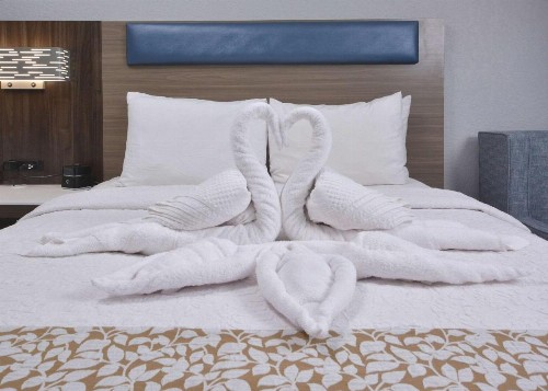 Brookstone Lodge near Biltmore Village Ascend Hotel Collection - image 26