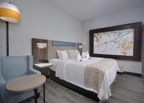 Brookstone Lodge near Biltmore Village Ascend Hotel Collection - image 7
