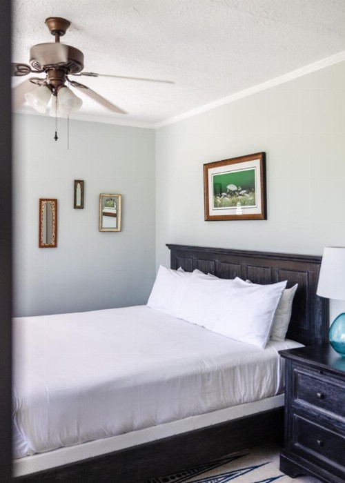 Princess Anne Boutique Hotel & Breakfast - image 18