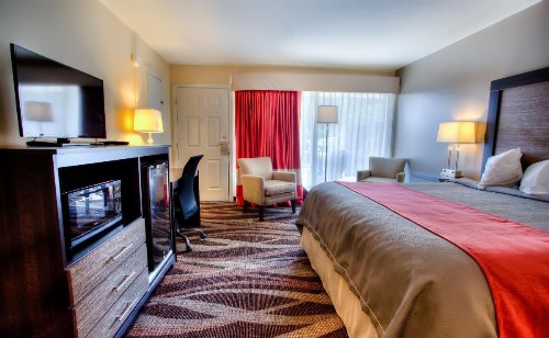The Beaucatcher a Boutique Motel - image 33