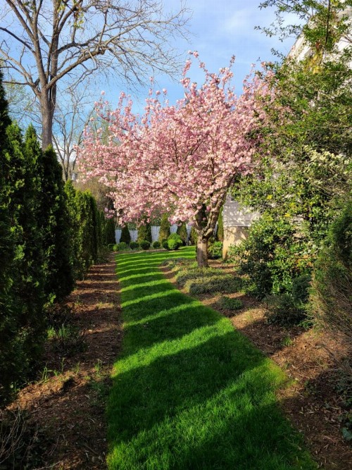 Albemarle Inn - Asheville - image 30