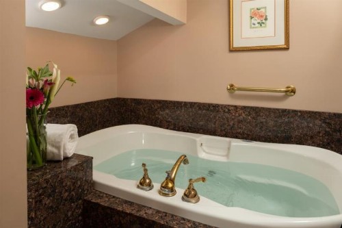 Albemarle Inn - Asheville - image 47