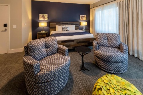 The Residences at Biltmore - Asheville - image 11