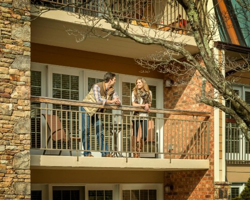 The Residences at Biltmore - Asheville - image 15