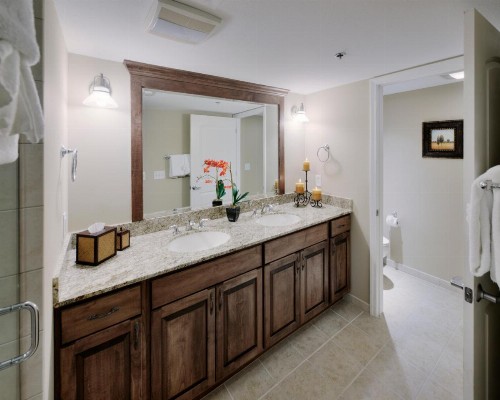 The Residences at Biltmore - Asheville - image 19